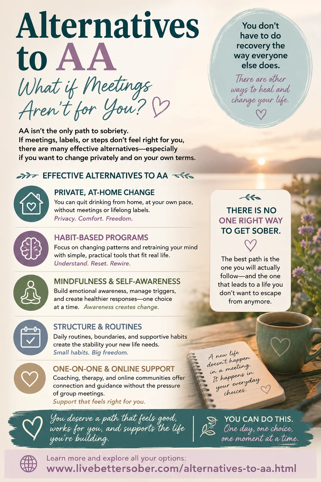 Alternatives to AA — Private and Practical Sobriety Support Infographic Infographic showing realistic alternatives to AA including private sober support, routines, mindfulness, and habit-based recovery approaches
