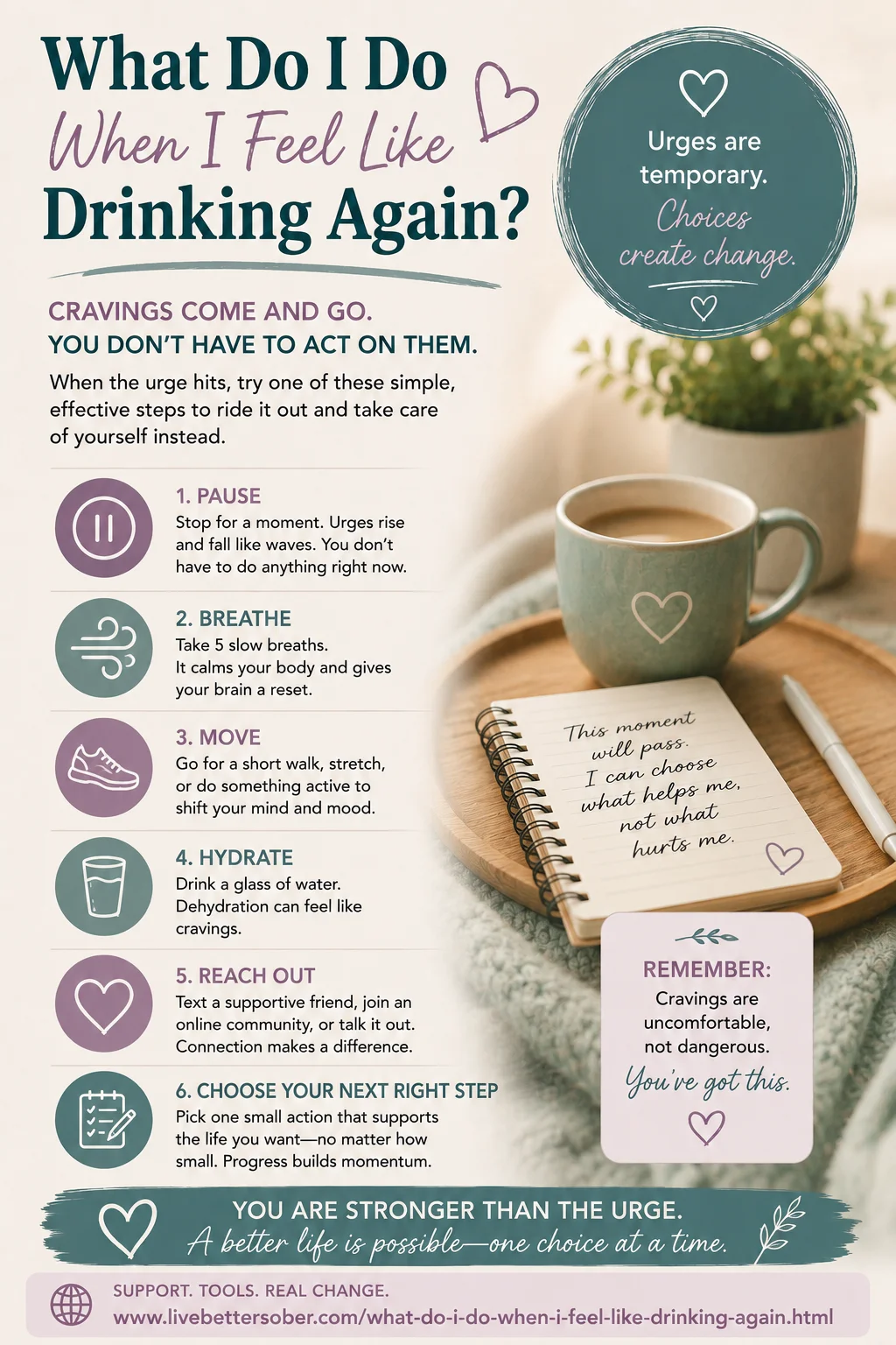 What Do I Do When I Feel Like Drinking Again? Infographic Infographic with calming tips for handling alcohol cravings and what to do when the urge to drink returns